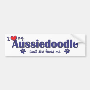 I Love My Aussiedoodle (Female Dog) Bumper Sticker