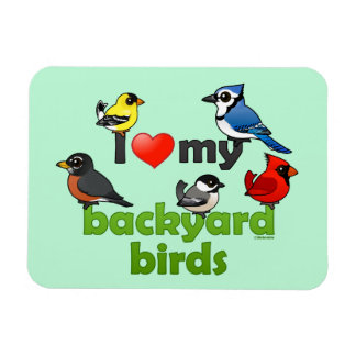 I Love My Backyard Birds Magnet