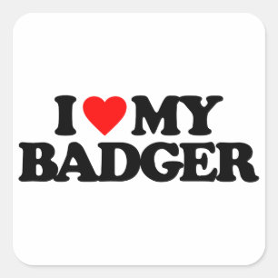 I LOVE MY BADGER SQUARE STICKER