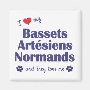 I Love My Bassets Artesiens Normands (Multi Dogs) Magnet