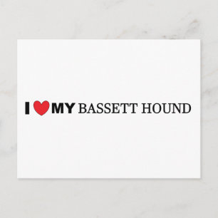 i love my bassett hound postcard