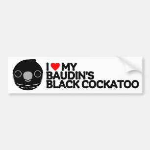 I LOVE MY BAUDIN'S BLACK COCKATOO BUMPER STICKER