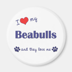 I Love My Beabulls (Multiple Dogs) Magnet