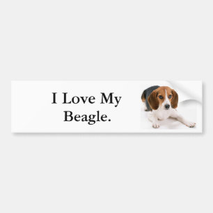 I Love My Beagle. Bumper Sticker