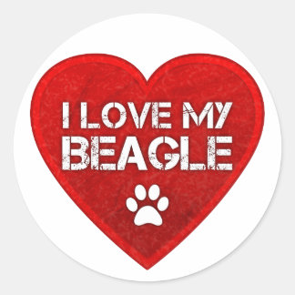 I Love my Beagle Classic Round Sticker