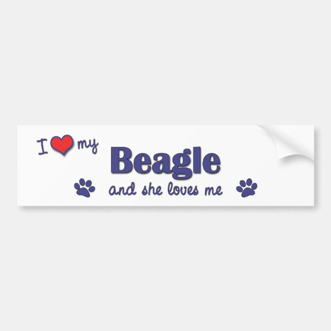 I Love My Beagle (Female Dog) Bumper Sticker (Front)