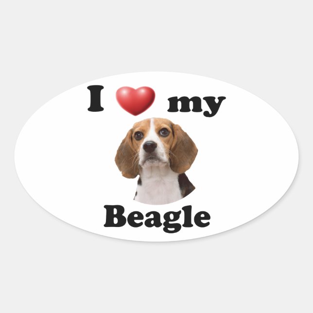 I Love My Beagle Oval Sticker (Front)