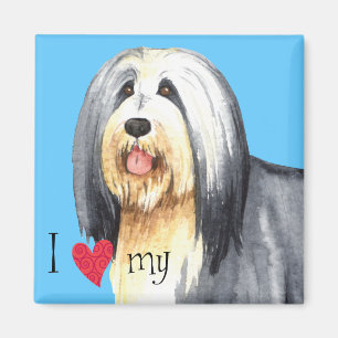 I Love my Bearded Collie Magnet