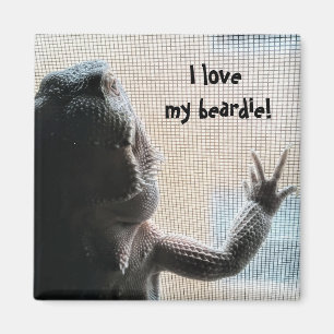 I love my beardie Cute Bearded Dragon Print Magnet
