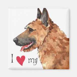 I Love my Belgian Laekenois Magnet