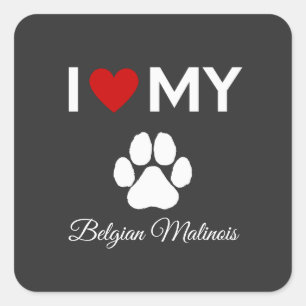 I love my Belgian Malinois dog custom text Square Sticker