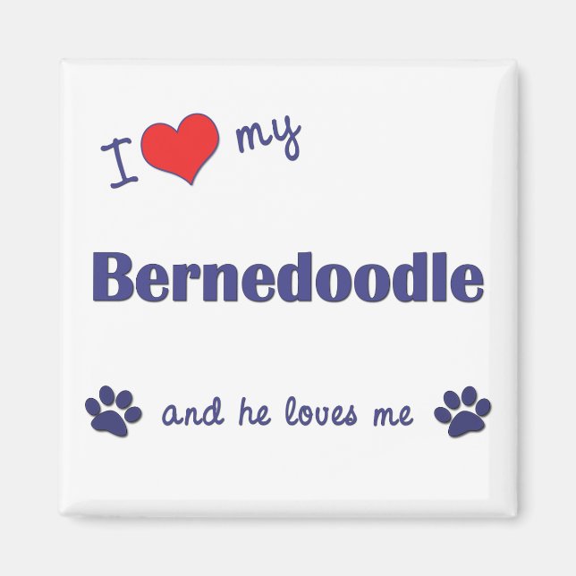 I Love My Bernedoodle (Male Dog) Magnet (Front)