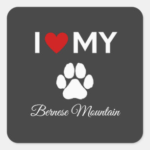 I love my Bernese Mountain dog custom text Square Sticker