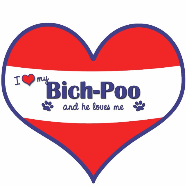 I Love My Bich-Poo (Male Dog) Photo Sculpture Decoration (Front)