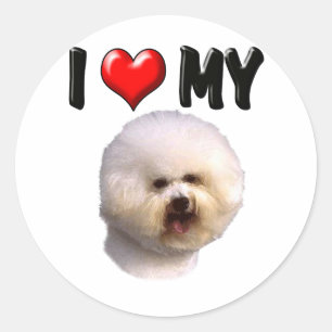 I Love My Bichon Frise Classic Round Sticker