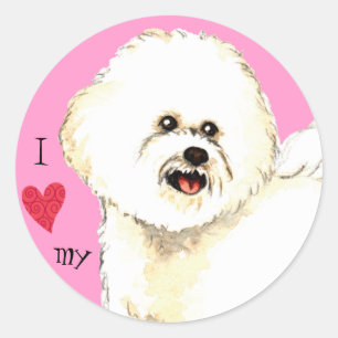 I Love my Bichon Frise Classic Round Sticker