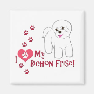 I Love My Bichon Frise! Magnet