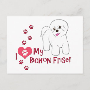 I Love My Bichon Frise! Postcard