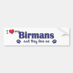 I Love My Birmans (Multiple Cats) Bumper Sticker