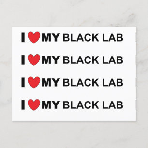 I love my black lab postcard