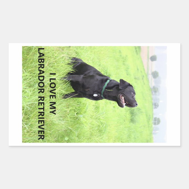 I Love My Black Labrador Retriever Rectangular Sticker (Front)