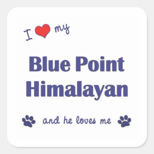 I Love My Blue Point Himalayan (Male Cat) Square Sticker