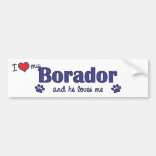 I Love My Borador (Male Dog) Bumper Sticker