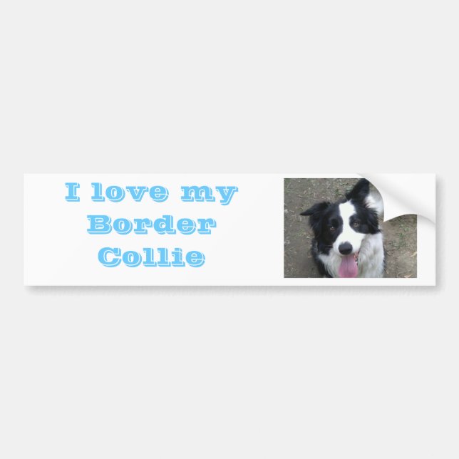 I love my Border Collie Bumber sticker (Front)