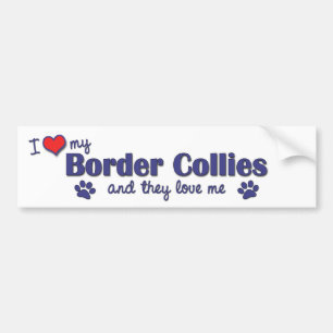 I Love My Border Collies (Multiple Dogs) Bumper Sticker