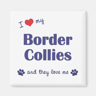I Love My Border Collies (Multiple Dogs) Magnet