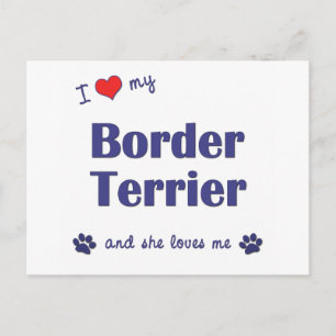 I Love My Border Terrier (Female Dog) Postcard