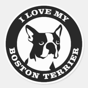 I Love My Boston Terrier Classic Round Sticker