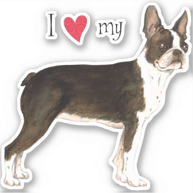 I Love my Boston Terrier Vinyl Sticker (Front)