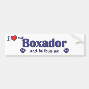 I Love My Boxador (Male Dog) Bumper Sticker
