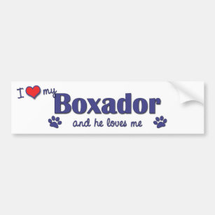 I Love My Boxador (Male Dog) Bumper Sticker