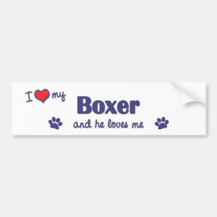 I Love My Boxer (Male Dog) Bumper Sticker