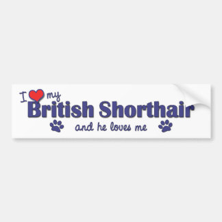 I Love My British Shorthair (Male Cat) Bumper Sticker