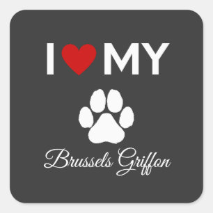 I love my Brussels Griffon dog custom text Square Sticker