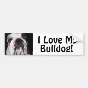 I Love My, Bulldog! Bumper Sticker