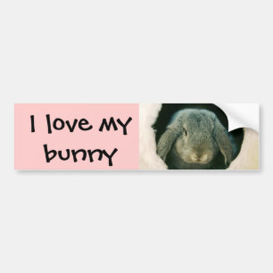 I love my bunny bumper sticker