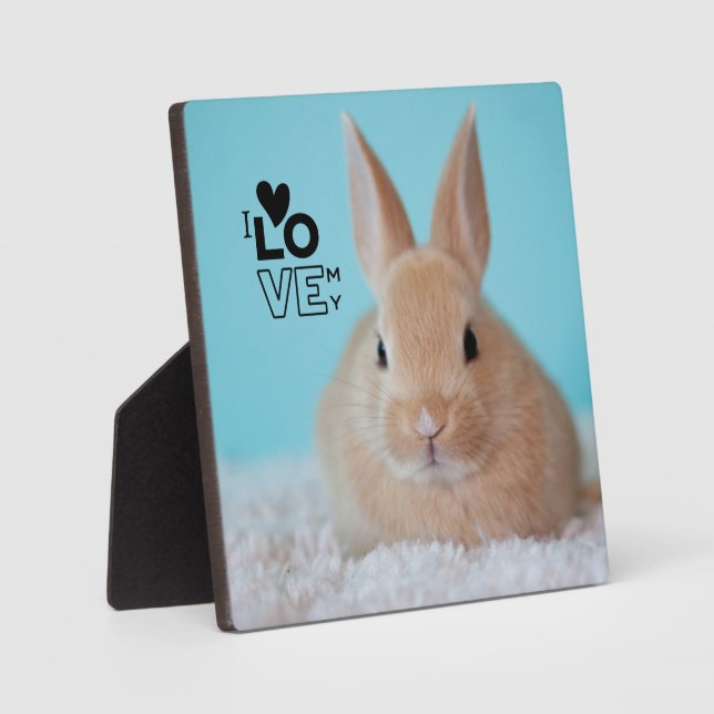 I Love My Bunny PHOTO Gift for House Rabbit Owners Plaque (Front)