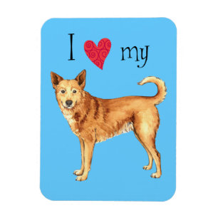 I Love my Canaan Dog Magnet
