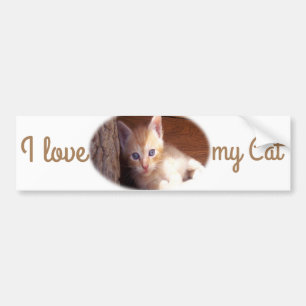 I love my Cat Bumper Sticker