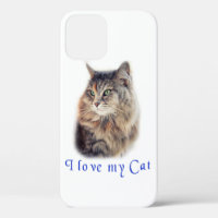 I love my cat