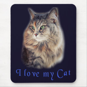 I love my cat mouse mat