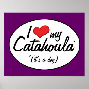 I Love My Catahoula (It's a Dog) Poster