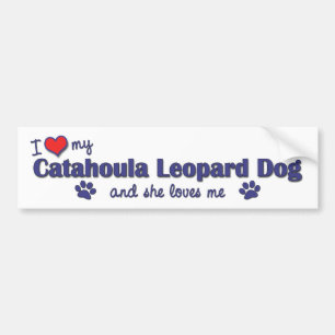 I Love My Catahoula Leopard Dog (Female Dog) Bumper Sticker