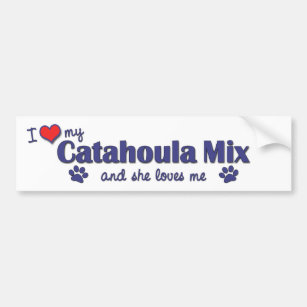 I Love My Catahoula Mix (Female Dog) Bumper Sticker