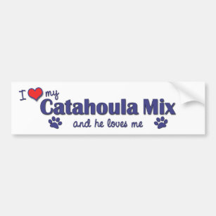 I Love My Catahoula Mix (Male Dog) Bumper Sticker