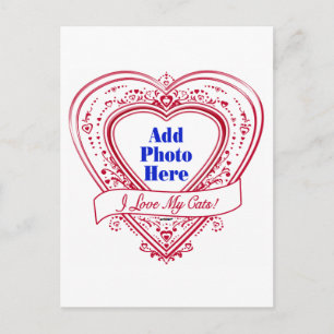 I Love My Cats! Photo Red Hearts Postcard